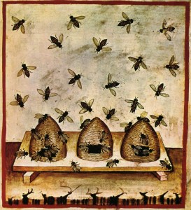 Beekeeping from The Tacuinum (sometimes Taccuinum) Sanitatisis, a medieval handbook mainly on health, based on the Taqwim al‑sihha تقويم الصحة ("Maintenance of Health"), an eleventh-century Arab medical treatise by Ibn Butlan of Baghdad.